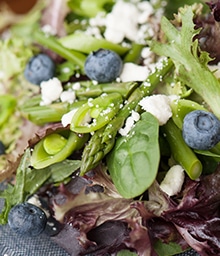 Close-up of Blueberry Vinaigrette Summer Salad.