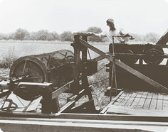 Harvesting Nuts