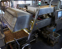 Nut Sorting Machinery