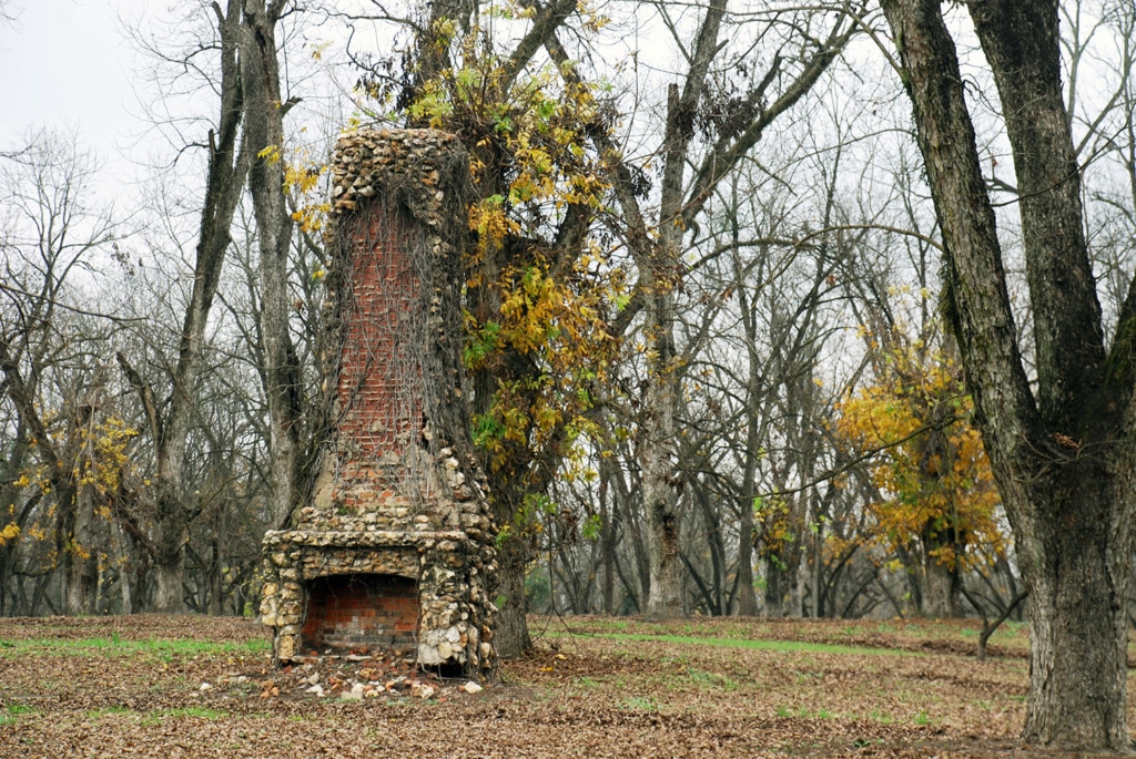 Old stone fireplace in middle of pecan field.