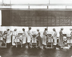 Women Processing and Boxing Walnuts