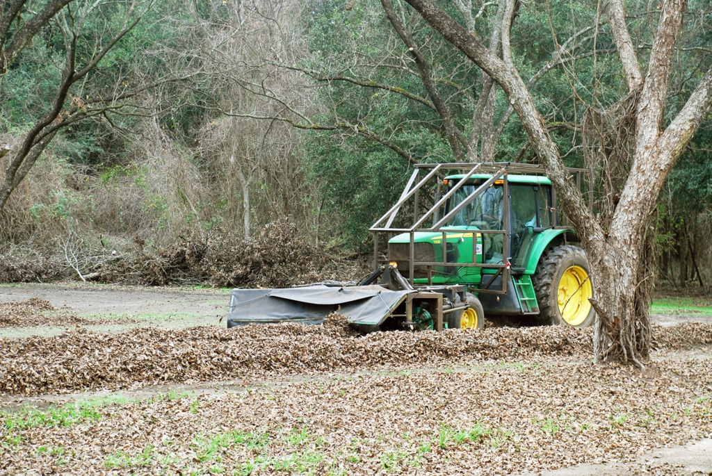Green tractor during pecan harvest.