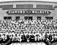 Vintage Picture of Diamond Walnuts Staff